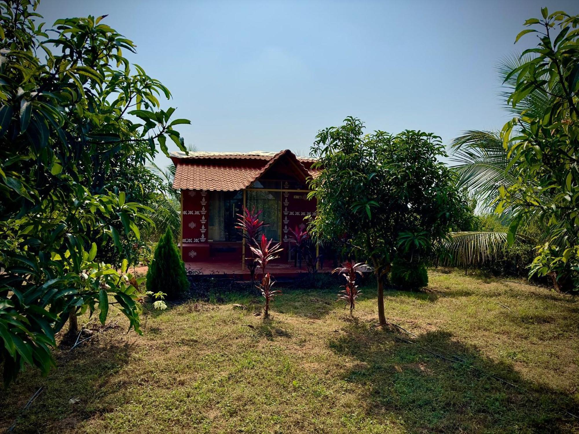 Mangohut Farmhouse Pool Villa Гайдарабад Номер фото